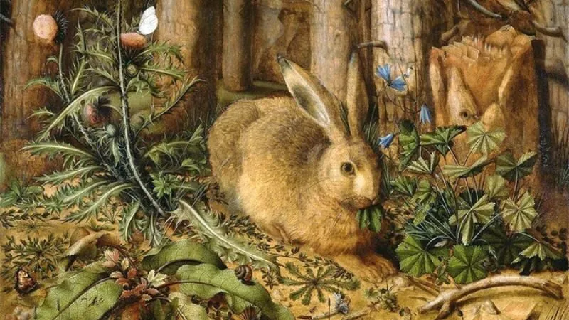 Biểu tượng thỏ Bunny trong văn hóa đại chúng