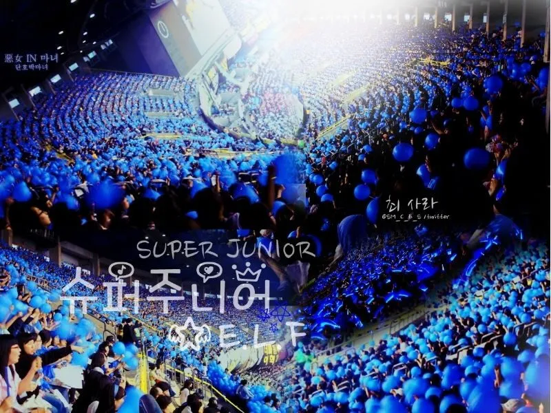 E.L.F, thành lập vào năm 2006, là "người bạn vĩnh cửu" của Super Junior, luôn đồng hành qua mọi thử thách.